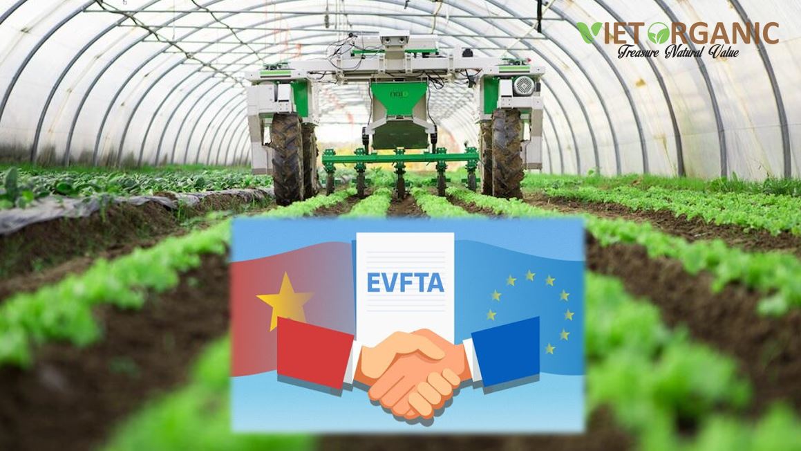EVFTA: What are the advantages for Vietnamese agricultural products?