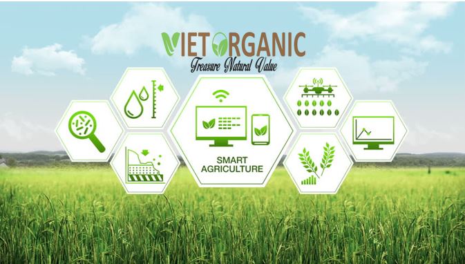 smart-agriculture